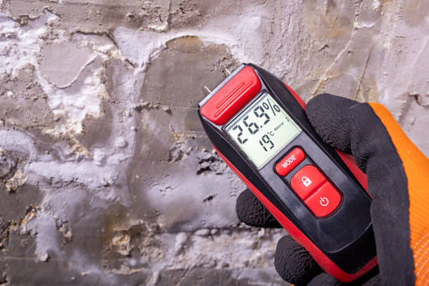 Best Mold Remediation for Schools in Kingsley, IA