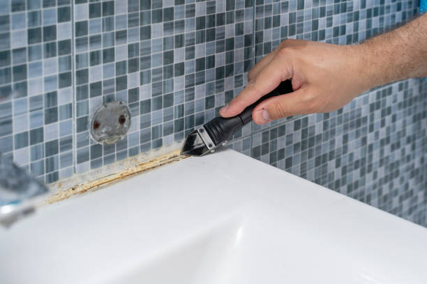 Best Health and Safety Mold Remediation in Kingsley, IA